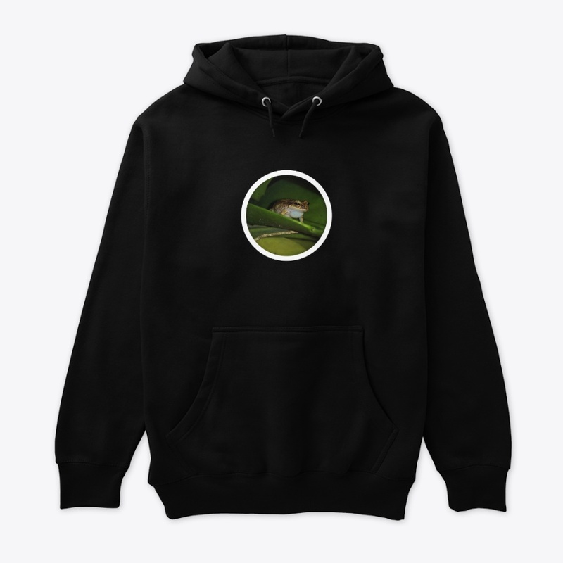 Pragmatic Frog