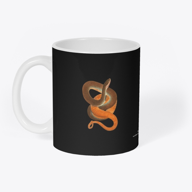 Nerodia erythrogaster 