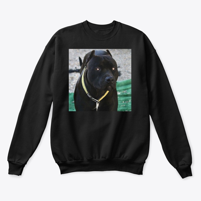 Pitbulls Black