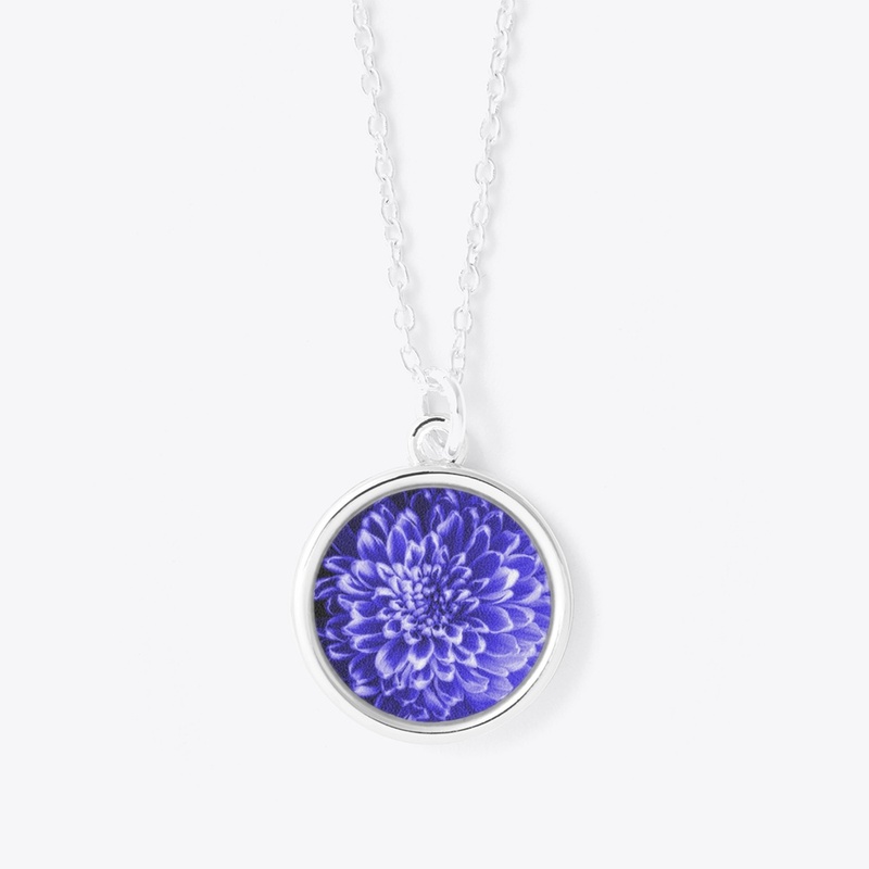 Blue Chrysanthemum