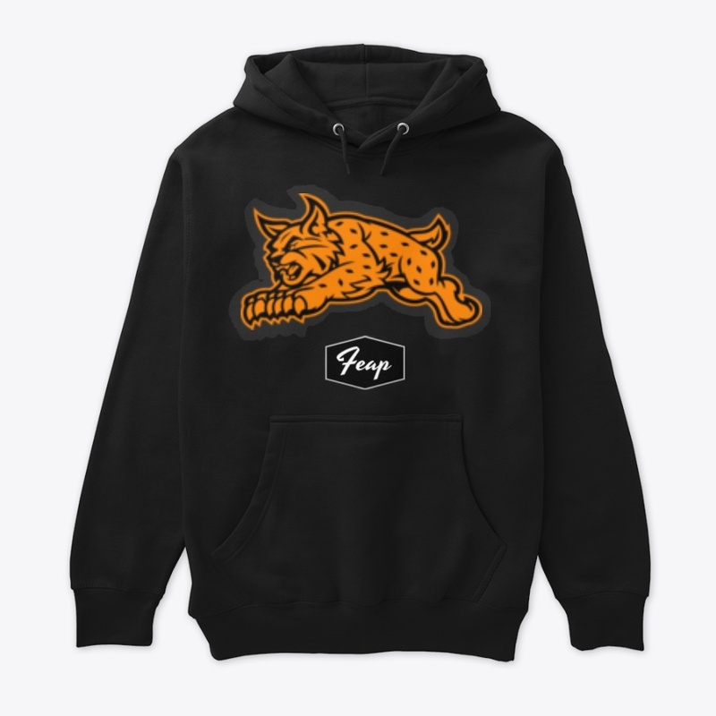 FEAP