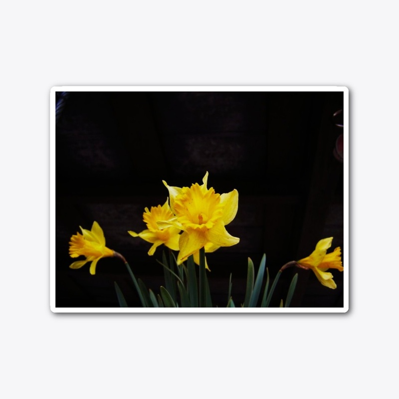 yellow easter lily flowers