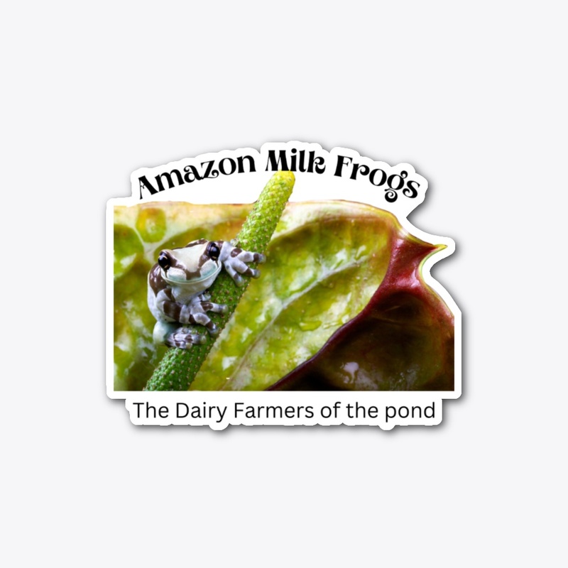 Amazon Milk Frog