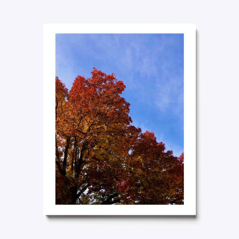 Fall Gradients