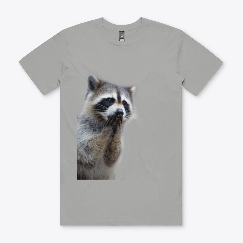 Racoon