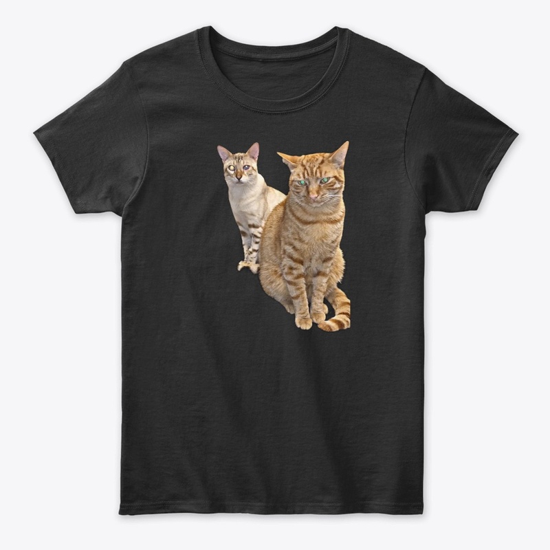 evaldos cats