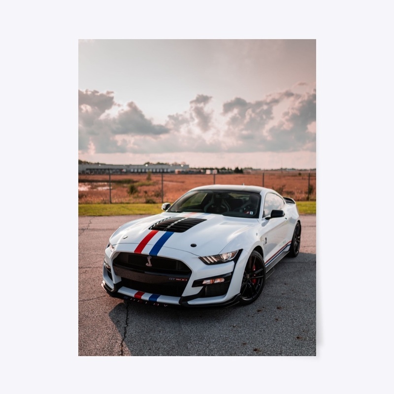 "Sunset 3/4" 2020 GT500 Wall Art