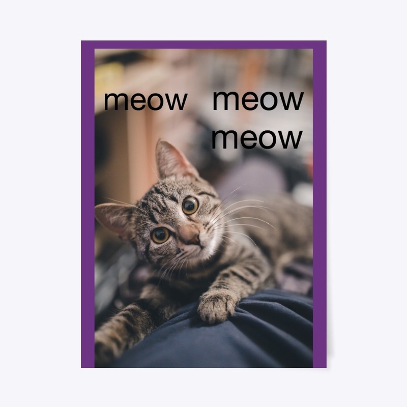 Meowing cat