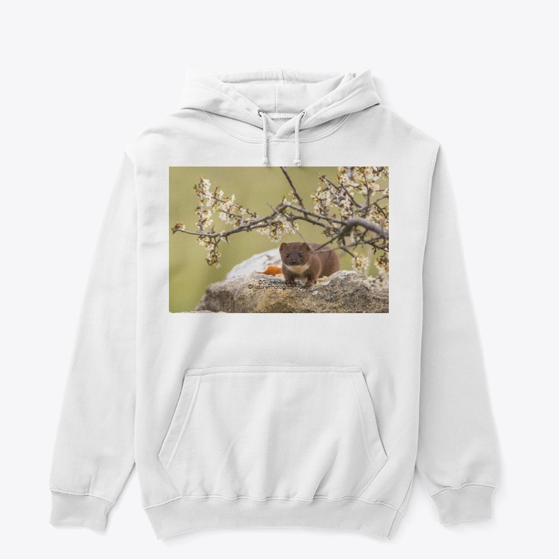 Least weasel