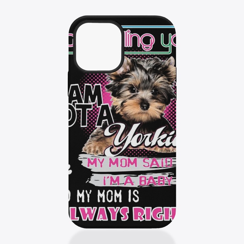 yorkie-baby2