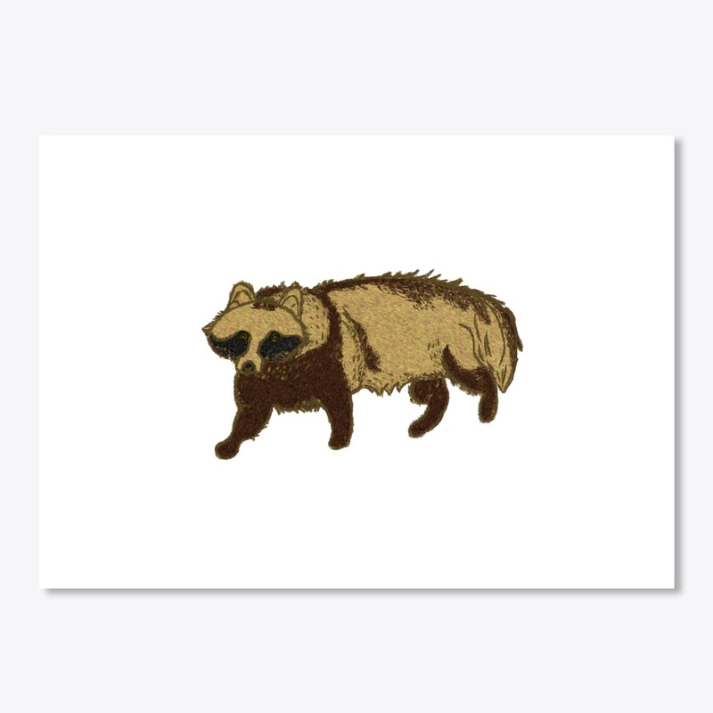 Tanuki of the night