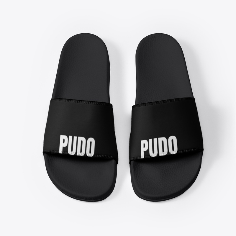 Pudo