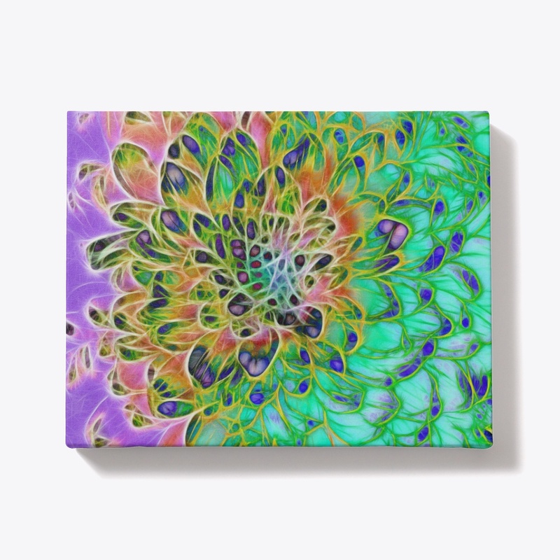 Peacock Chrysanthemum