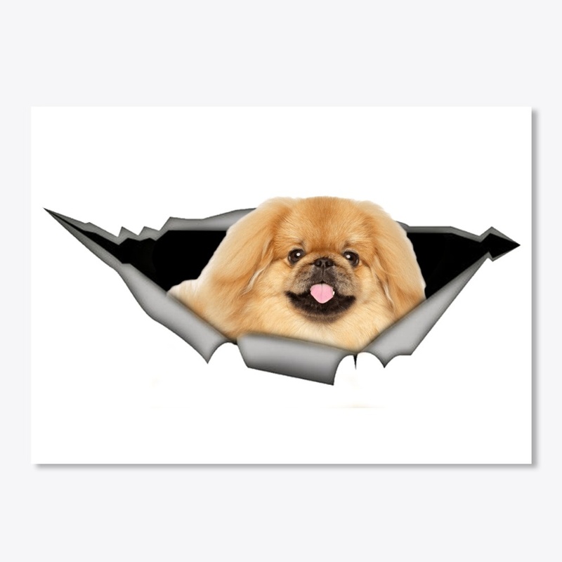 Pekingese sticker, car decal