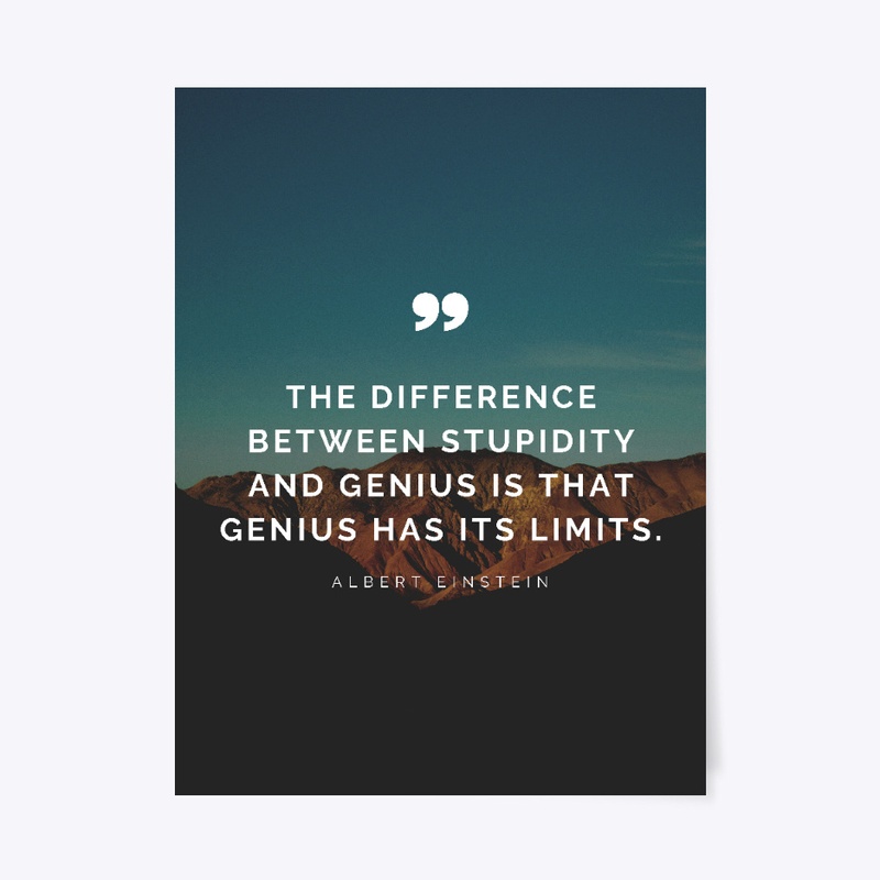 Difference Between Stupidity and Genius