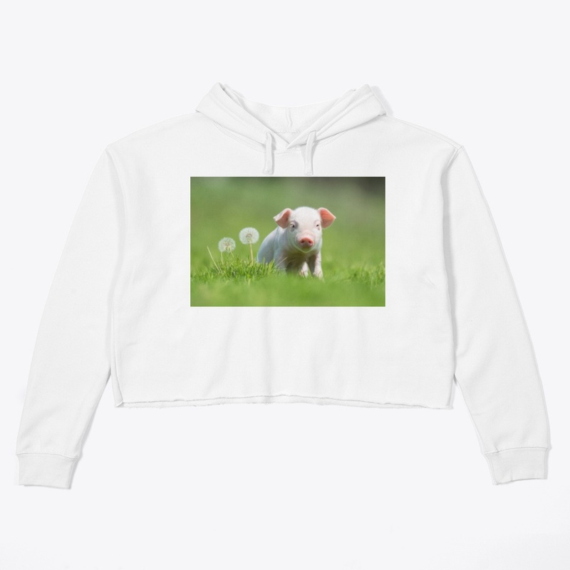 Pig  picture  design