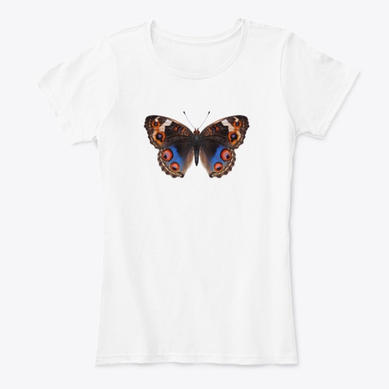 Butterfly #10