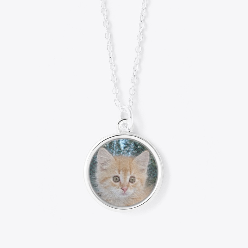 orange kitty