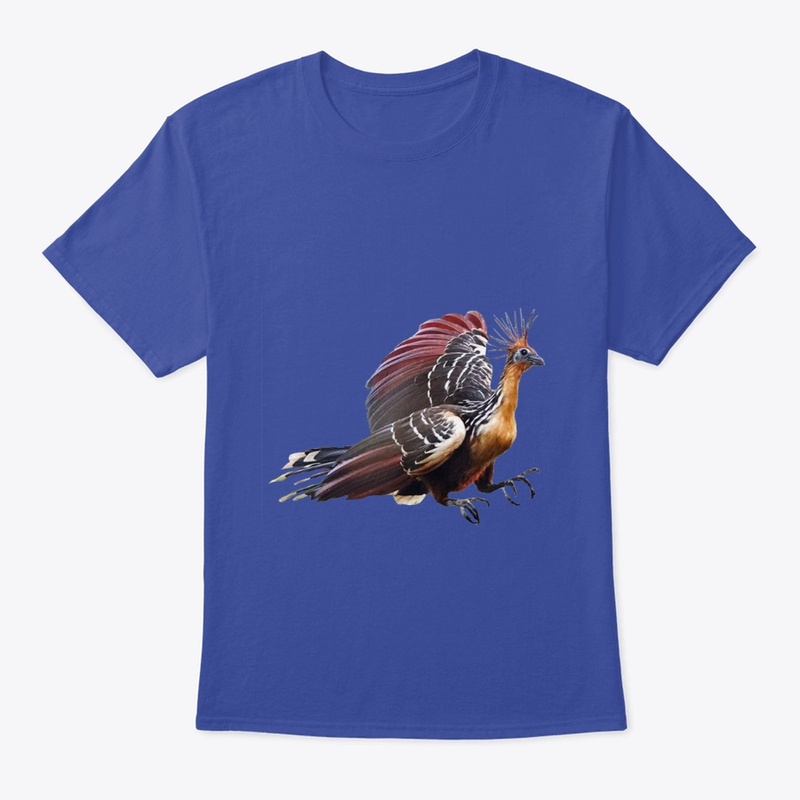 Hoazin bird