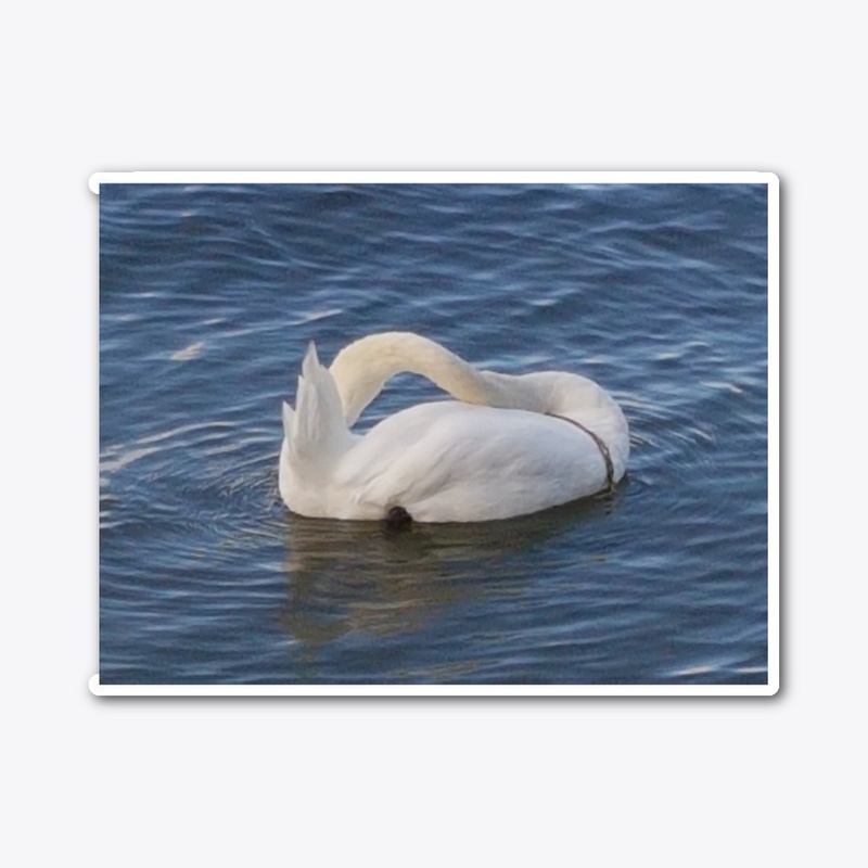 Stockholm Swan