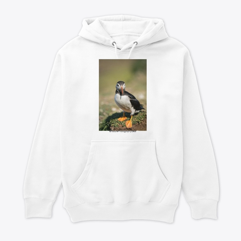 Puffin