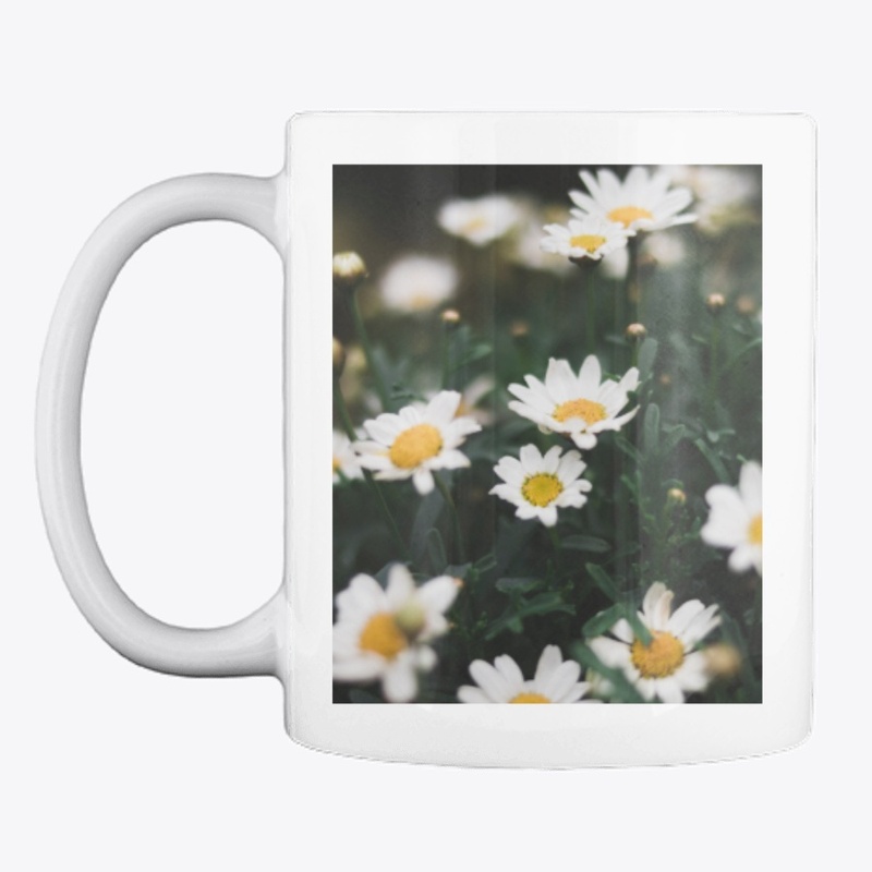 Chrysanthemum Zawadskii
