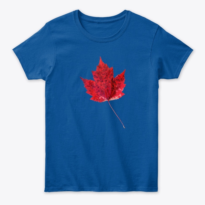 Vibrant Red Maple Leaf .