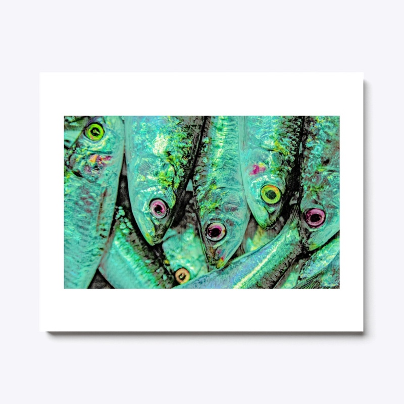 Sardines