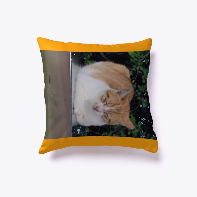 pillows_cover_sleeping cats