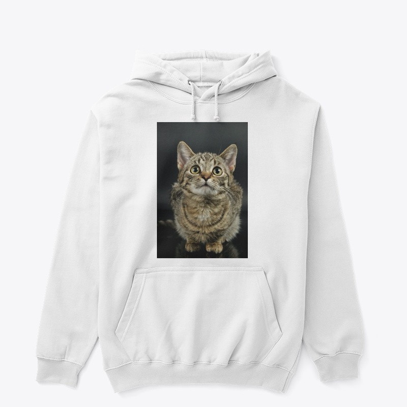 Cute Cat 