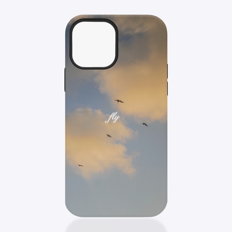 FLY