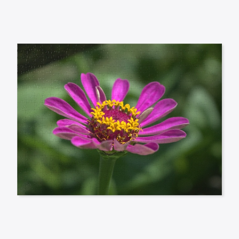 Flower 1