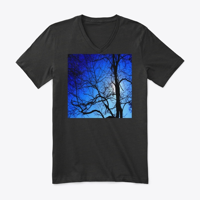 black tree blue sky 