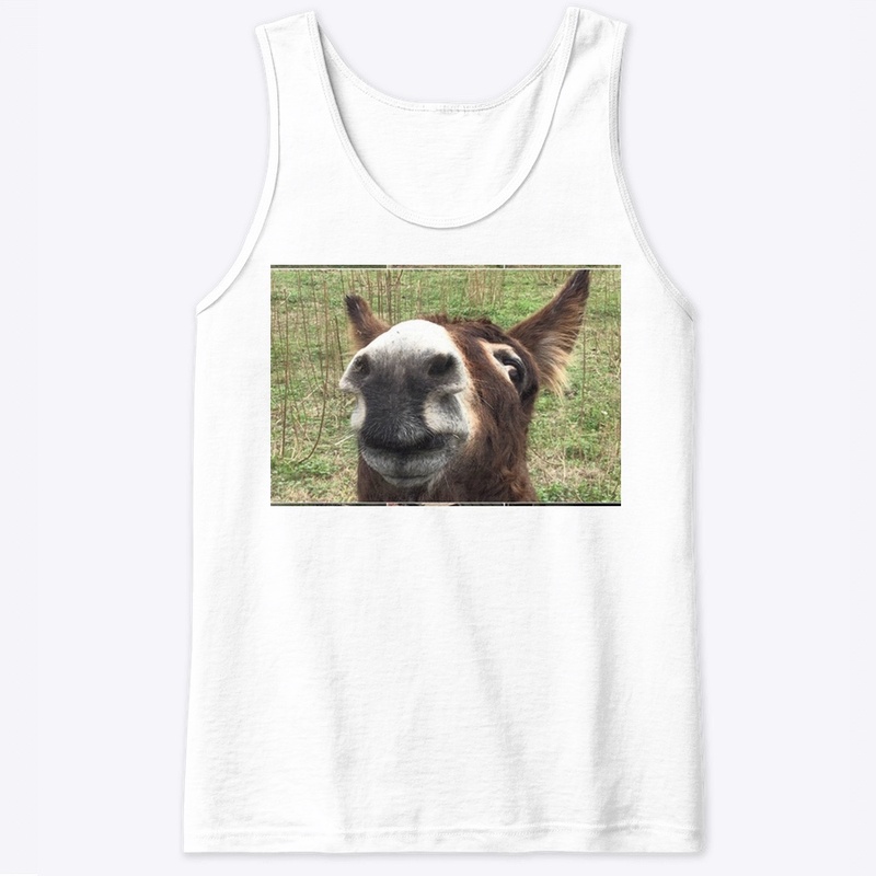 Donkey Fever