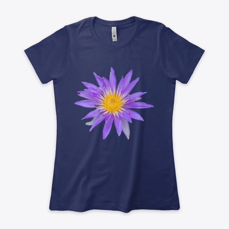 Water Lily Wonder