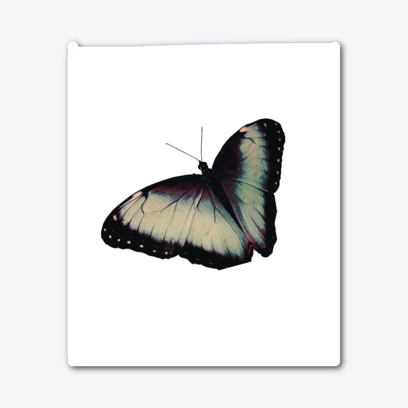 "Dark Beauty – Black Butterfly Vibes"