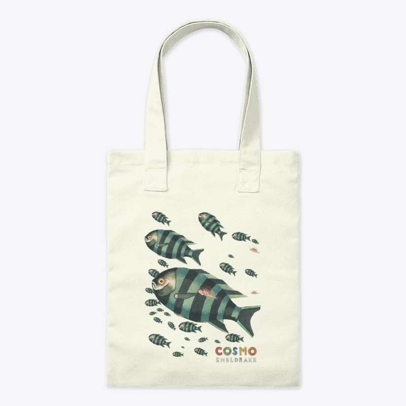 Shoal Design