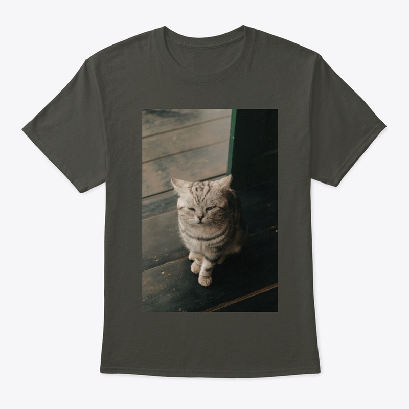 Kitten T-shirt
