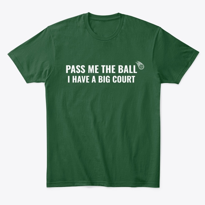 Ball in Court