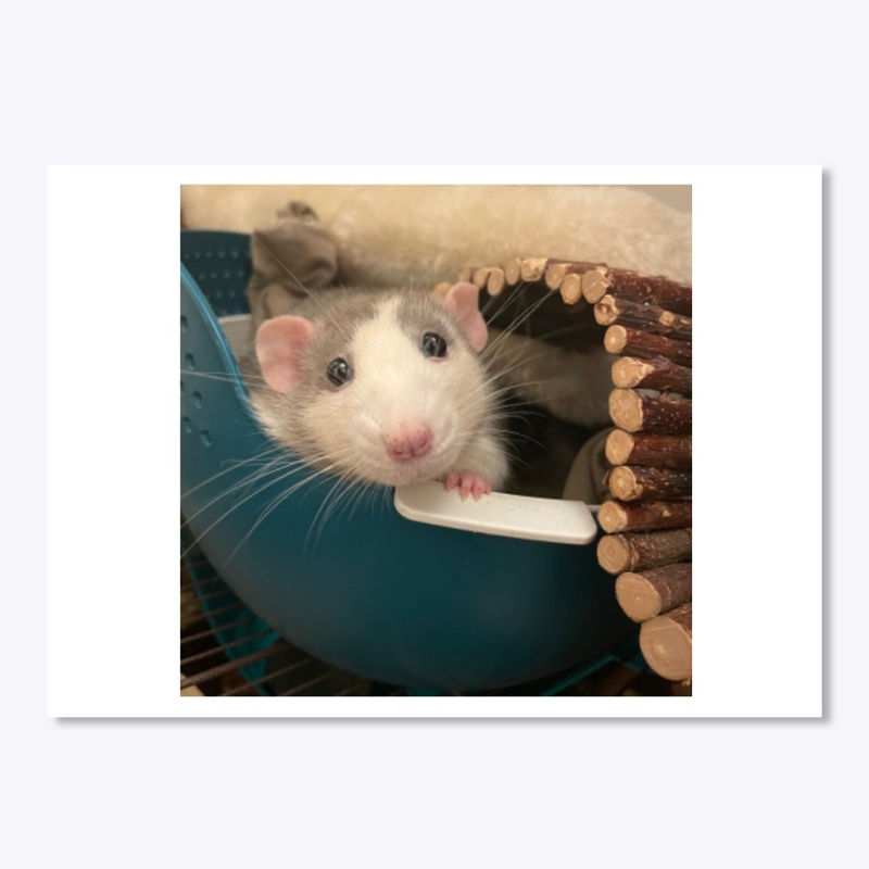 Edgar Portrait Sticker