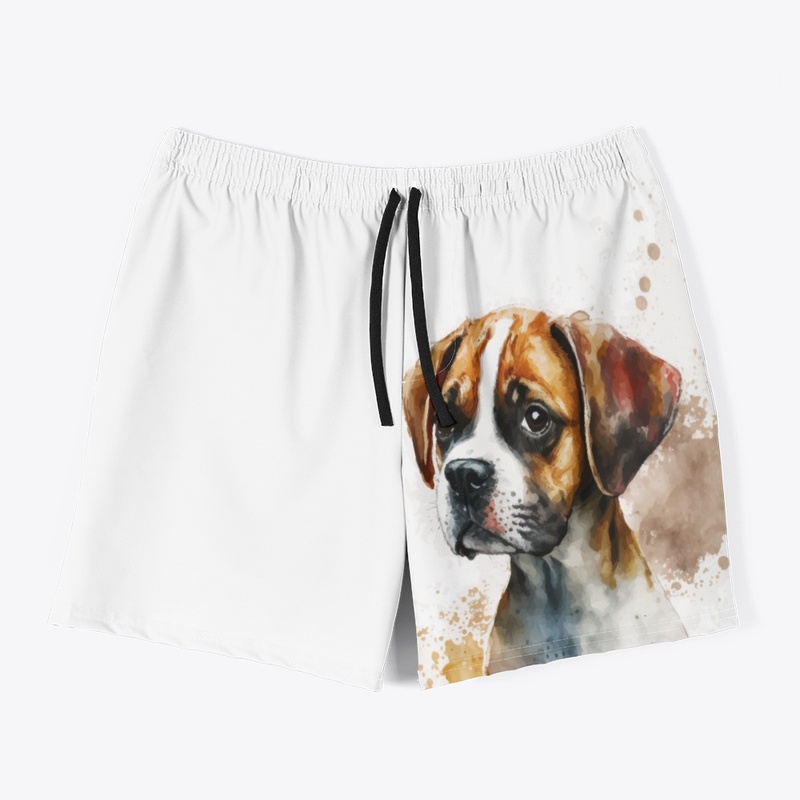 Boxer Collection !