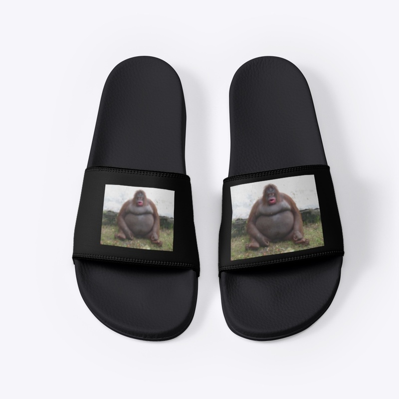 Monke slides