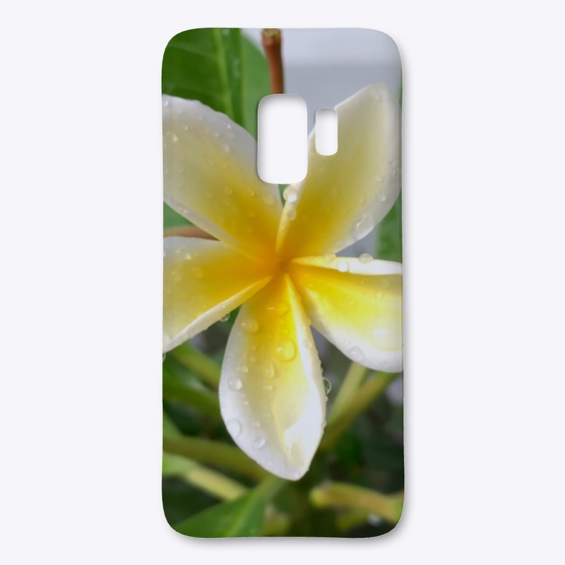 iPhone and Samsung Cases By Emaan