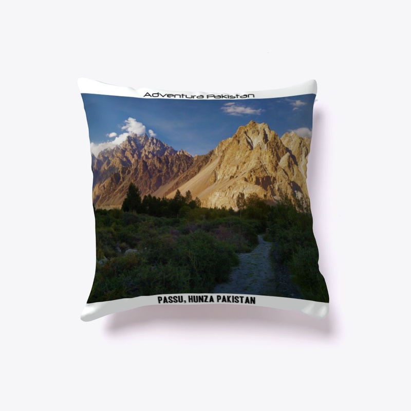 Passu Cushion