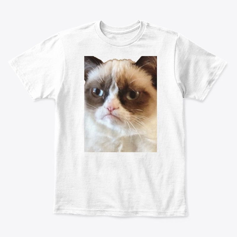 Cat no