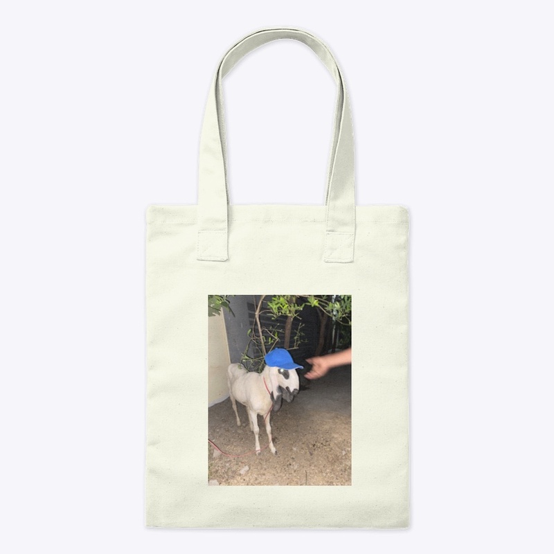 Funny goat