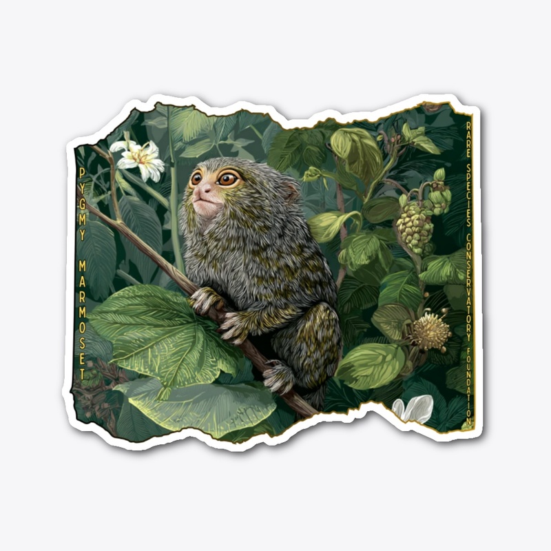 Pygmy Marmosets Rule