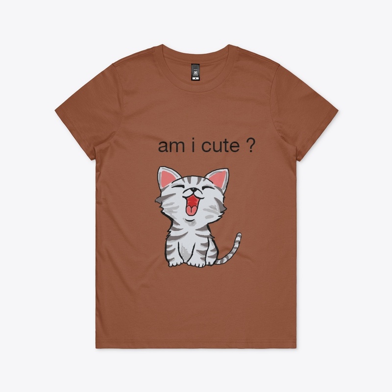 a cute cat