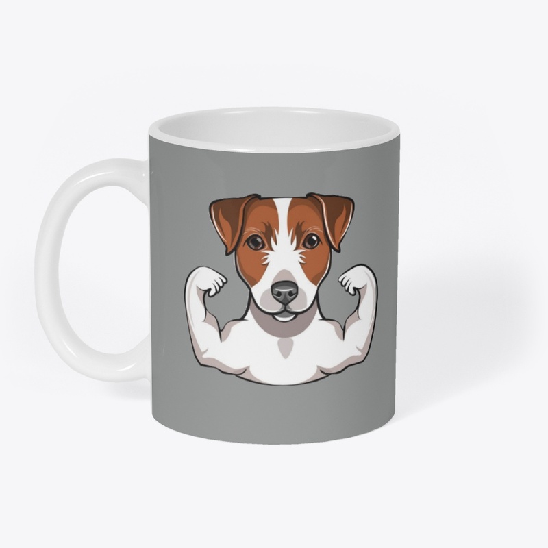 Jack Russell Terrier with muscule