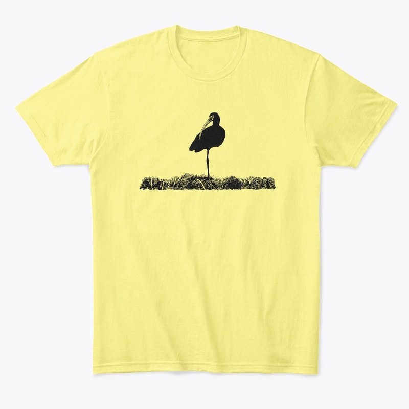 Birdwatching-White Faced Ibis